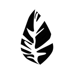 Leaf icon over white background vector illustration