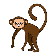 kawaii happy monkey icon over white background colorful design vector illustration