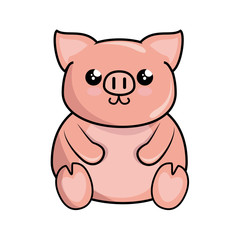 kawaii pig icon over white background colorful design vector illustration