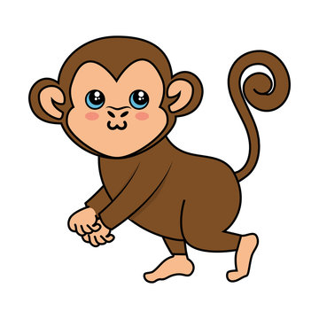 kawaii monkey icon over white background colorful design vector illustration