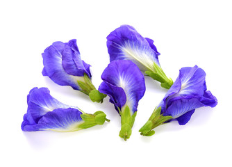 butterfly pea flower on white background