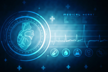 Anatomy of Human Heart 