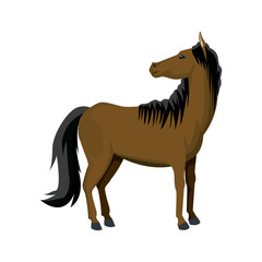 horse cartoon farm mammal animal icon vector illustration