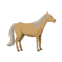 horse cartoon farm mammal animal icon vector illustration