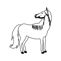 horse animal mammal nature equine icon vector illustration