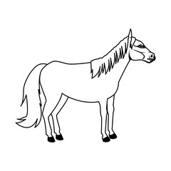 Fototapeta na wymiar horse animal mammal nature equine icon vector illustration