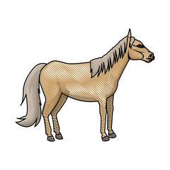 horse animal mammal nature equine icon vector illustration