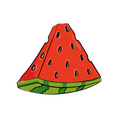 watermelon fruit icon over white background colorful design vector illustration
