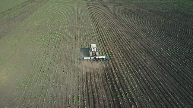Tractor performs seeding on the field