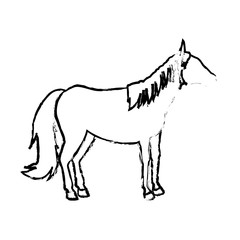 horse animal mammal nature equine icon vector illustration