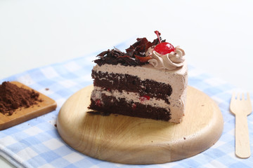 Obraz na płótnie Canvas Piece of chocolate cake
