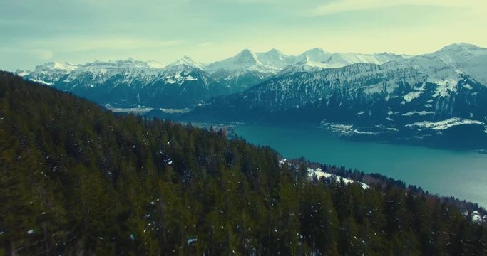 Luftaufnahme &uuml;ber verschneitem Tannenwald in Richtung Interlaken, mit Schneebergen im Hintergrund