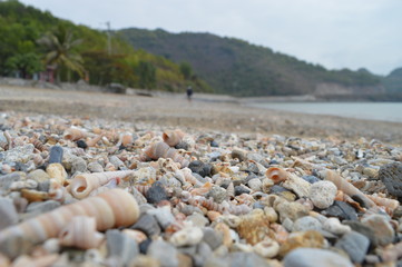 Shell Beach Cat Ba