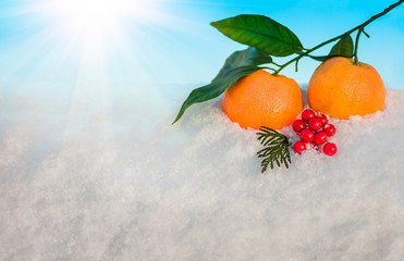 Christmas fruit in snow against the blue sky