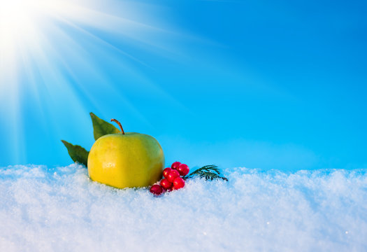 yellow apple and berries of viburnum in the snow