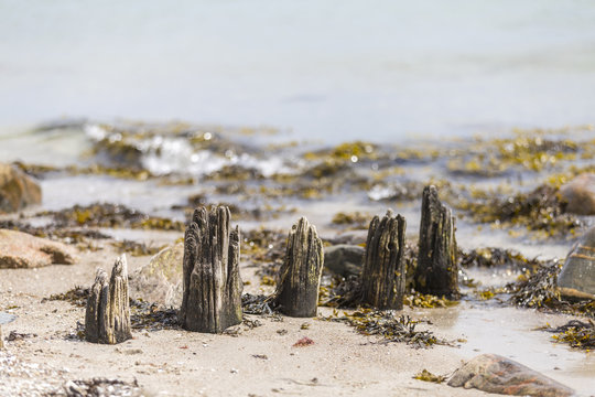 Antrag Auf K Uferschutz