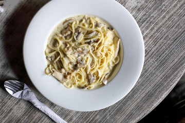 Spaghetti with creamy mushroom sauc