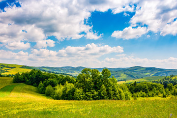 Naklejka premium countryside summer landscape in mountains