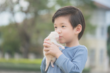 Fototapeta premium Cute Asian boy holding a kitten