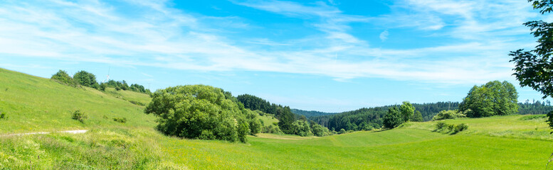 Naklejka premium Wiese