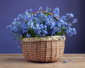 Basket of forget-me-nots.