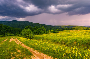 Fototapeta na wymiar country road through rural fields in mountains summer landscape
