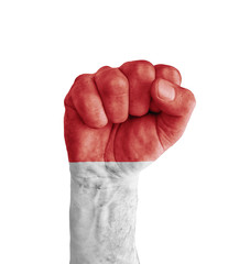 Flag of Monaco painted on human fist like victory symbol