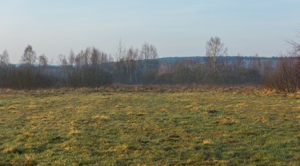 Morning meadow with fog at sunrise