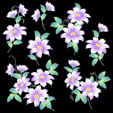 18 Best 鉄線花 Images Stock Photos Vectors Adobe Stock 18 Best 鉄線花 Images Stock Photos Vectors Adobe Stock