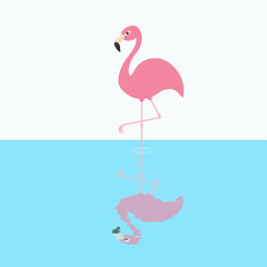 Pink flamingo standing on one leg. Circles on the water shadow. Exotic tropical bird. Zoo animal collection. Cute cartoon character. Decoration element. Flat design. White blue background.