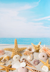 Starfish and sea shells