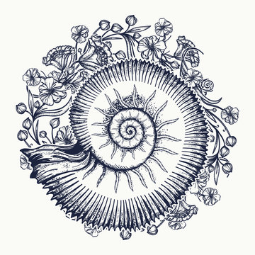Naklejki Ammonites and art nouveau flowers tattoo. Symbol of science, paleontology, history, biology, golden ratio. Ancient mollusk t-shirt design