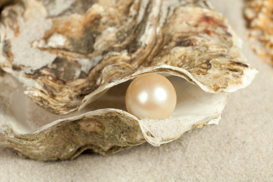 Pearl in oyster