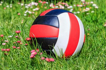  beautiful leather ball lies on the green lawn with flowers