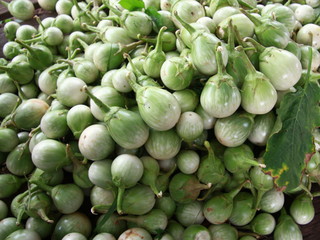 Eggplant and vegetable