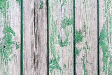 Green painted wood planks as background or texture. Close-up