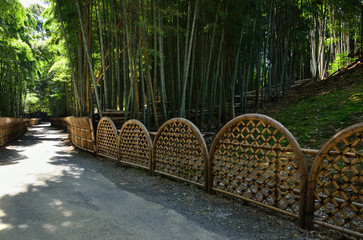 bamboo fence at Japanese garden, Kyoto Japan
