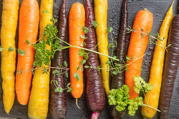 Ripe black, orange and yellow carrots with parsley and thyme. Dark stone background. Autumn harvest.