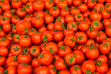group of red ripe tomatoes