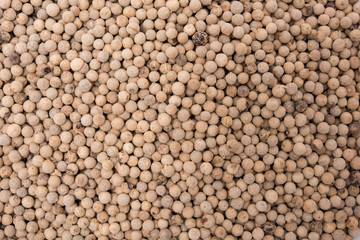 closeup the dried white peppers as background