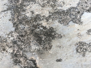 Cement Surface