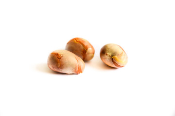 jackfruit seeds isolated on white background.