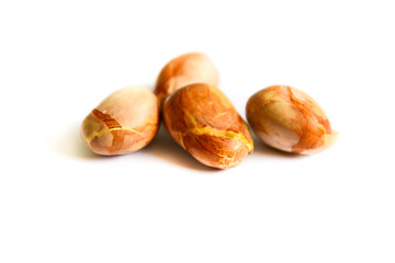 jackfruit seeds isolated on white background.