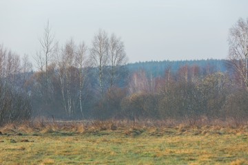 Fototapeta premium Morning meadow with fog at sunrise