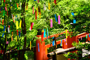 七夕 北野天満宮  青紅葉　京都
Tanabata festival, Kyoto Japan - obrazy, fototapety, plakaty