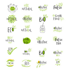 Set of vector eco, bio green logo or sign. Vegan, raw, healthy food badge - 159275953