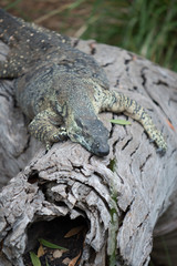 Obraz premium Monitor