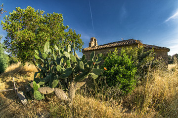 Ermita Sant Bartomeu de Cabanyes