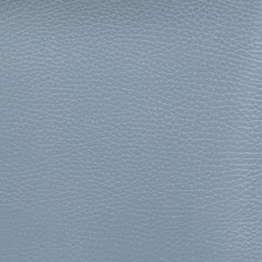 Grain Leather texture