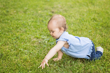 Fourteen months old baby girl crawling on the grass in the park, reaching for a flower